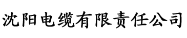 网站简介电缆厂logo